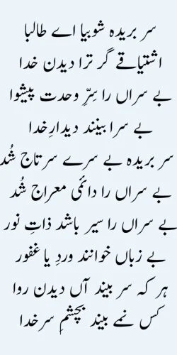Sultan Bahoo says, about Talib e Maula in his Persian poetry