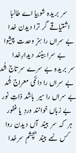 Sultan Bahoo says, about Talib e Maula in his Persian poetry